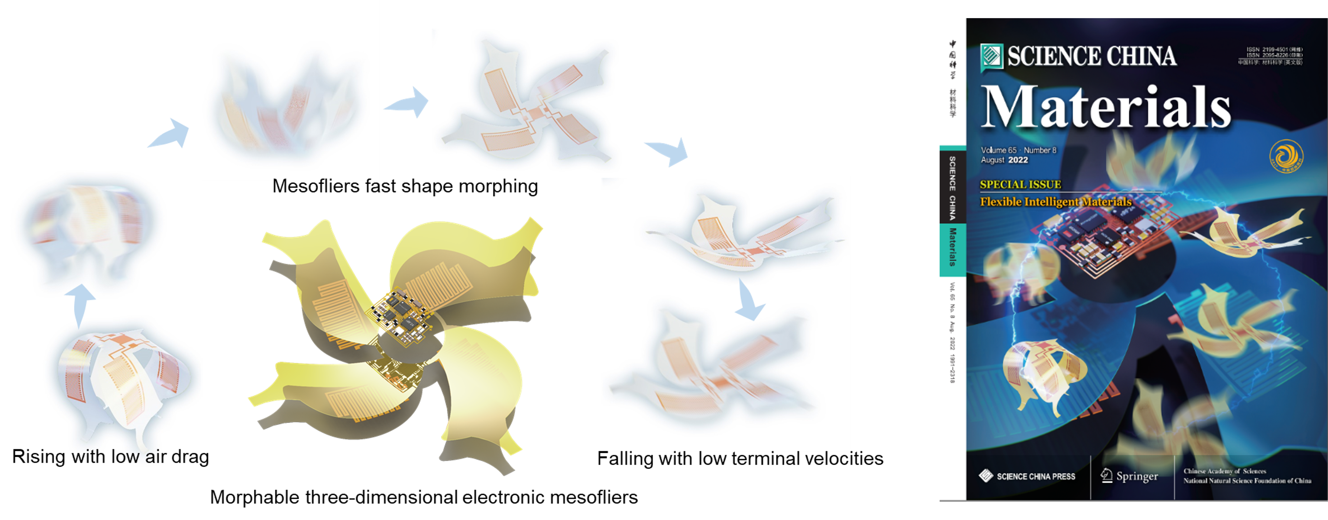 microflier-2.png